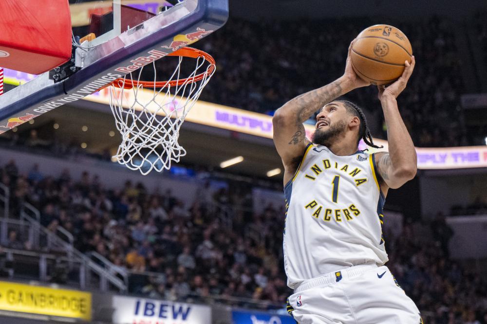 门直挂网窝 门直挂网窝